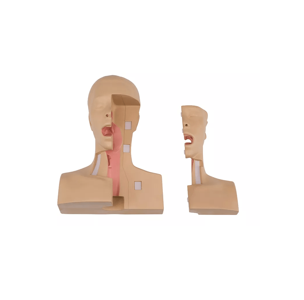 Tracheostomie Management Simulator - Erler - Zimmer